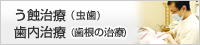 う蝕治療（むし歯・歯内治療)